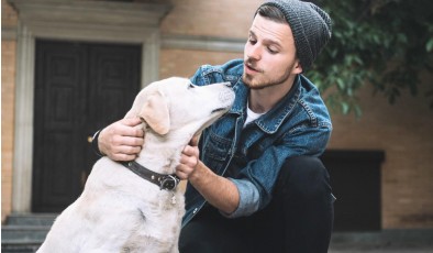 Могут ли собаки когда-нибудь заговорить? Учёные ищут ответ