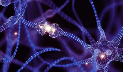 Живые компьютеры: Учёные используют клетки мозга для создания биопроцессоров