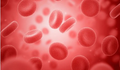 Ученые превращают живые клетки в светящиеся биосенсоры для наблюдения за работой белков