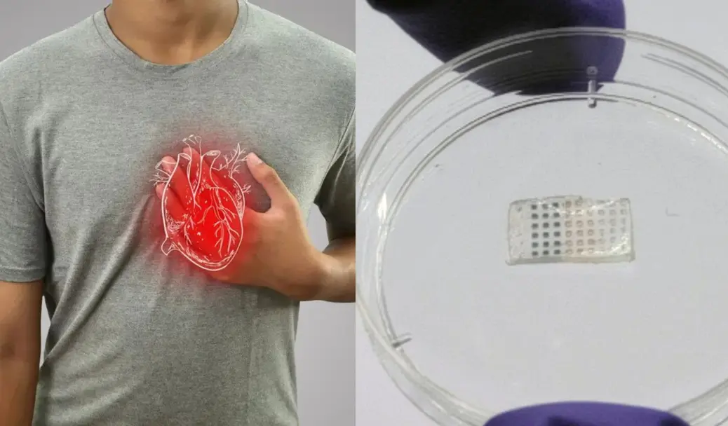 Пластырь для сердца: новая разработка MIT помогает восстановиться после инфаркта