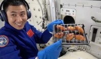 Барбекю в невесомости: Китайские астронавты пожарили куриные крылышки в космосе