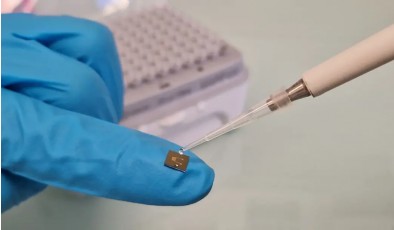 Белок вместо батареи: созданы проводящие протеины для «зеленой» электроники