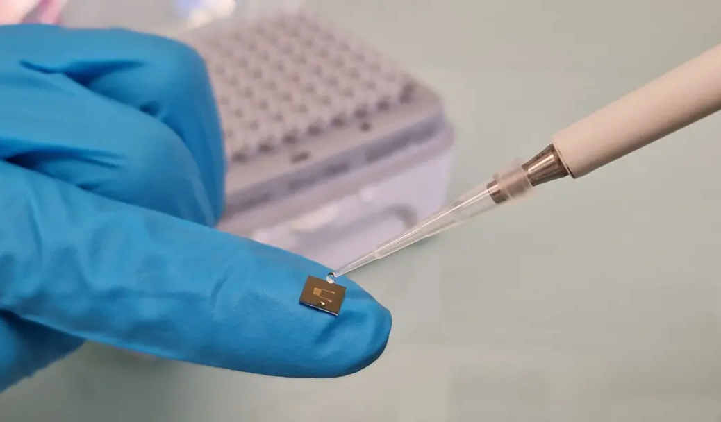 Белок вместо батареи: созданы проводящие протеины для «зеленой» электроники