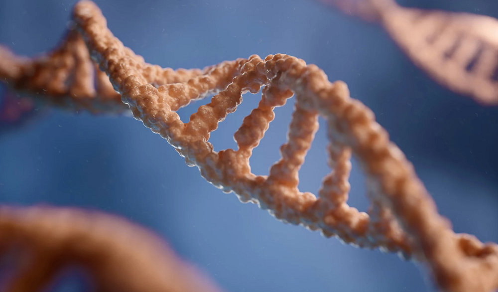 Расшифровать планету: как ИИ помогает прочитать ДНК всех живых существ