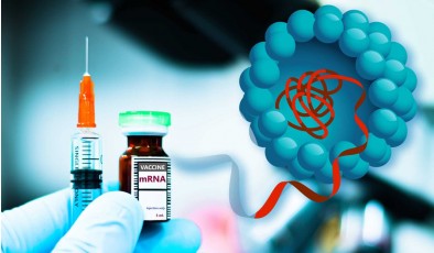 Разработана наночастица, которая усиливает действие вакцин в сто раз