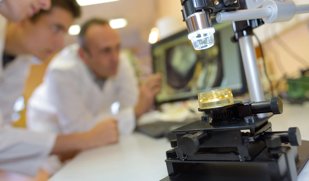 Учёные впервые вырастили полностью синтетическую мозговую ткань