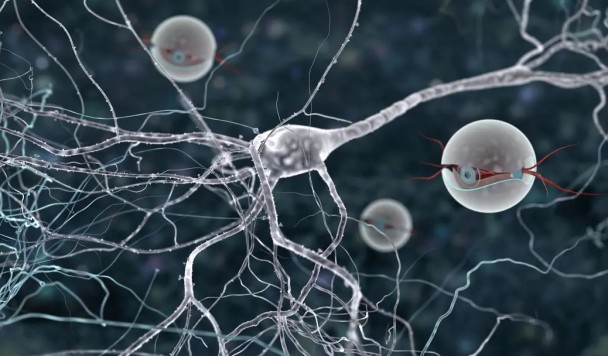 Учёные создали автономного ДНК-наноробота с собственным «наноаккумулятором»