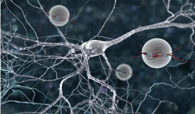 Учёные создали автономного ДНК-наноробота с собственным «наноаккумулятором»