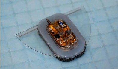 Мягкий робот-скат использует магнитное поле для движения и улучшения собственной батареи