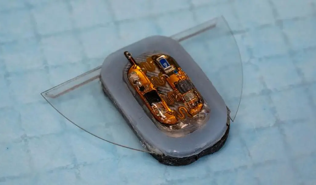 Мягкий робот-скат использует магнитное поле для движения и улучшения собственной батареи