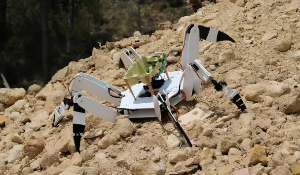 Португальские студенты создали робота-паука для восстановления сгоревших лесов