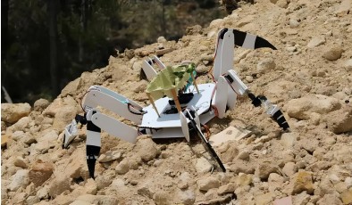 Португальские студенты создали робота-паука для восстановления сгоревших лесов