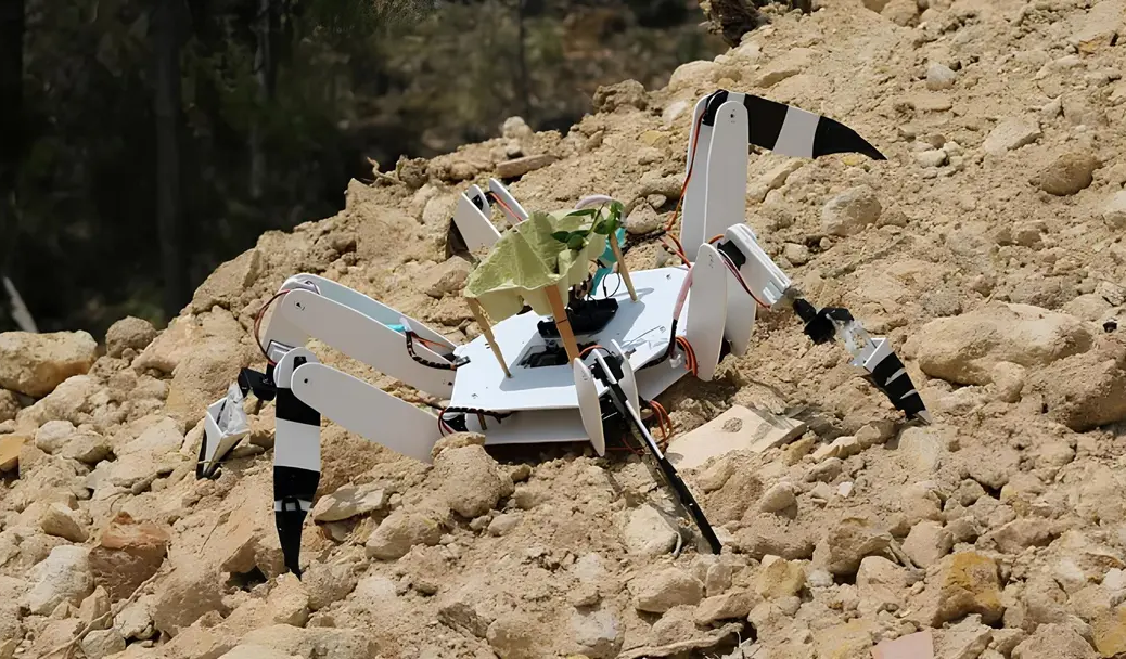Португальские студенты создали робота-паука для восстановления сгоревших лесов