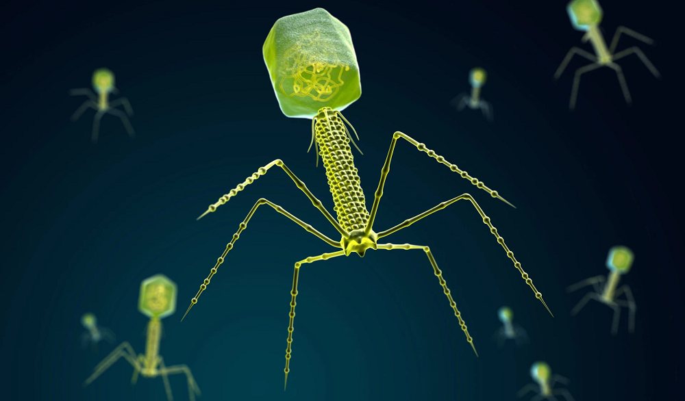 Разработан метод получения редкоземельных металлов с помощью вирусов