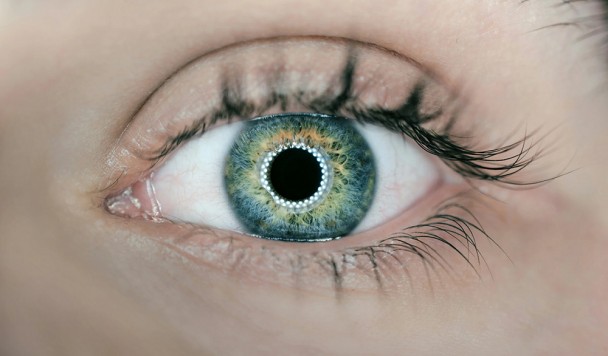 Пересадка 3D-печатной роговицы впервые вернула зрение пациентке