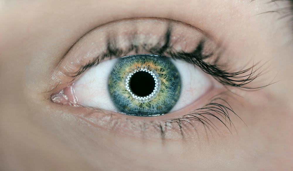 Пересадка 3D-печатной роговицы впервые вернула зрение пациентке
