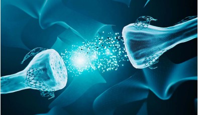 Ученые разработали искусственный синапс, который бесследно разлагается в земле