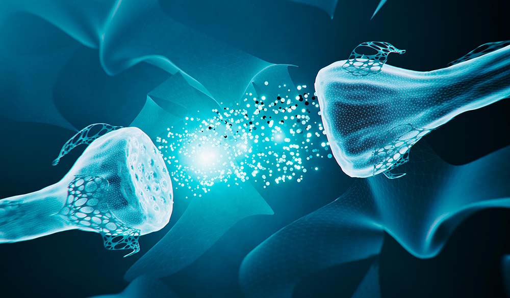 Ученые разработали искусственный синапс, который бесследно разлагается в земле