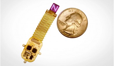 Беспроводной мозговой имплант напрямую передаёт ощущения в кору мозга