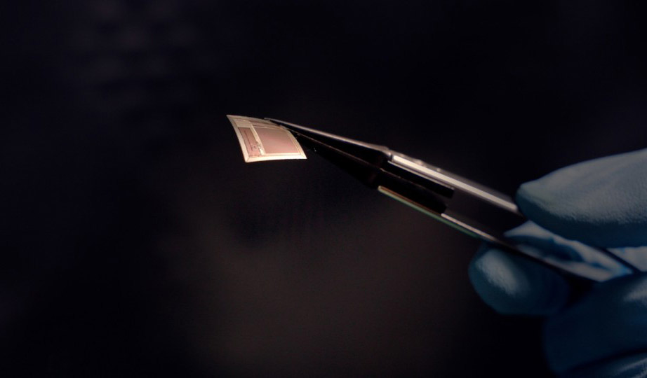 Новый мозговой интерфейс считывает сигналы мозга с рекордной скоростью