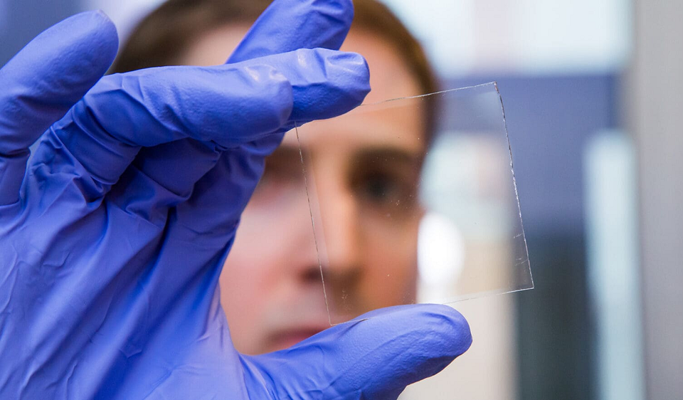 Прозрачный материал из дерева блокирует 100% ультрафиолета без электричества