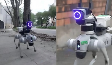 Робопсы с лазерами помогают защищать природу в Гонконге