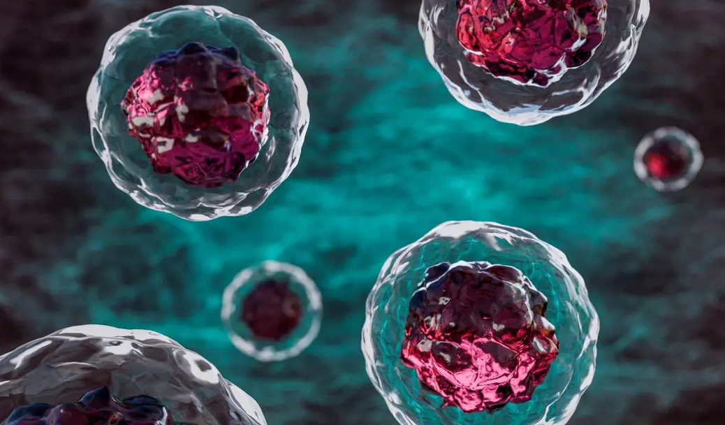 Ученые научились «печатать» микроструктуры прямо внутри живых клеток