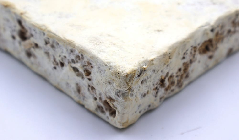 Ученые придумали, как выращивать утеплители и строительные панели из грибов