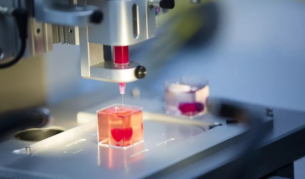 Печень, напечатанная на принтере: шаг от замены органов к их ремонту