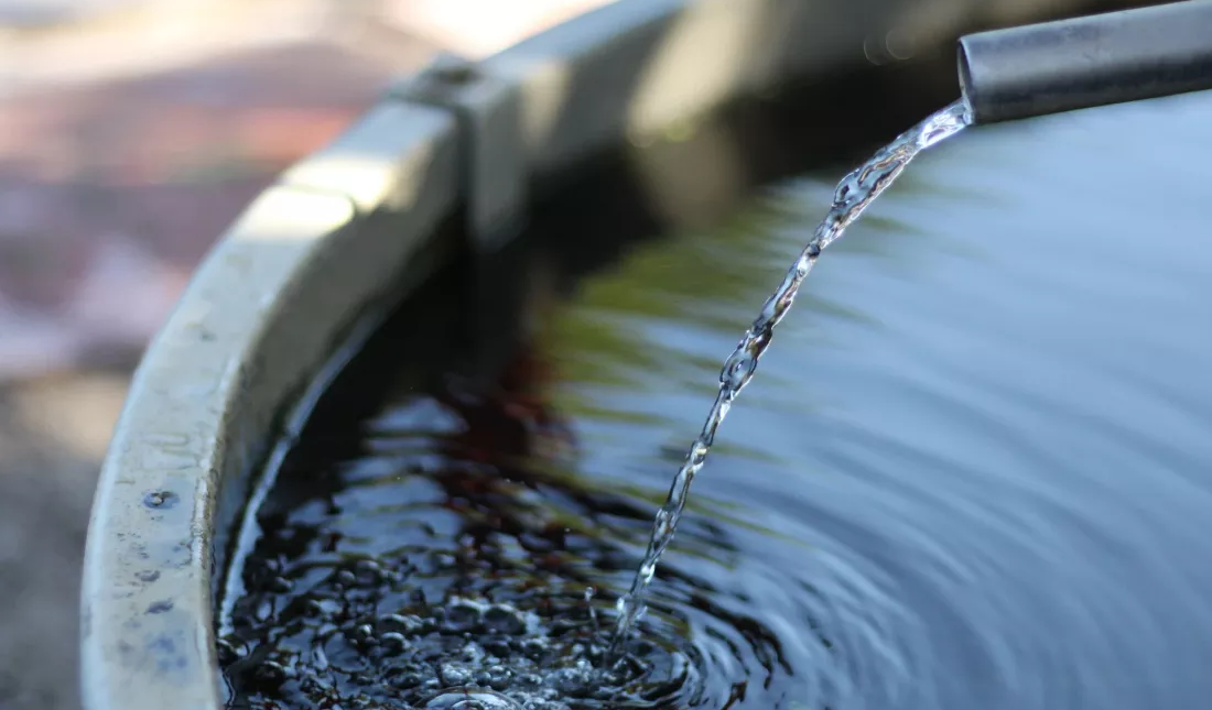 Учёные придумали фильтр, который не просто ловит «вечные химикаты», а уничтожает их