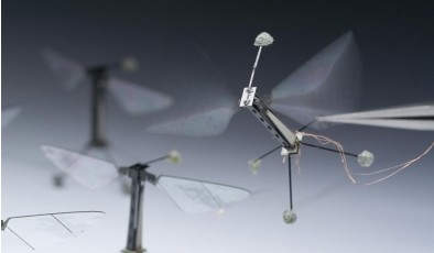 Чип с «мозгами» пчелы позволит создавать рои роботов-насекомых