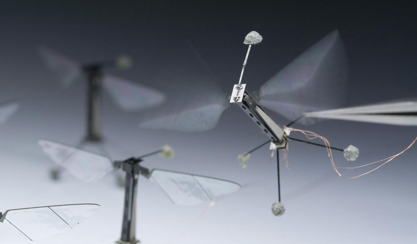 Чип с «мозгами» пчелы позволит создавать рои роботов-насекомых