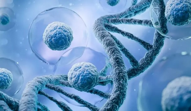 Экспериментальная генная терапия возвращает зрение и омолаживает нейроны глаза