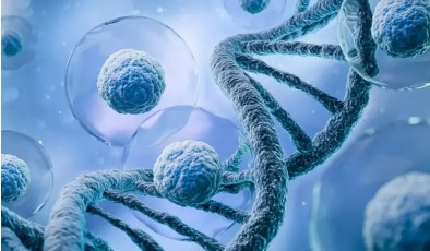 Экспериментальная генная терапия возвращает зрение и омолаживает нейроны глаза