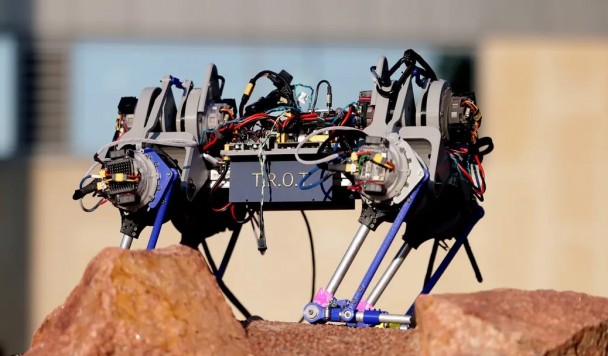 Робот, меняющий анатомию, помогает понять механику движения животных