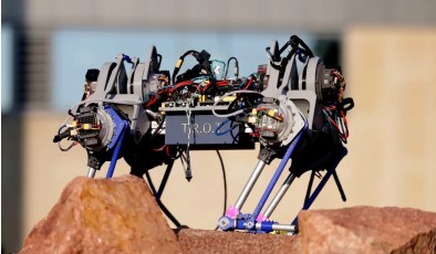 Робот, меняющий анатомию, помогает понять механику движения животных