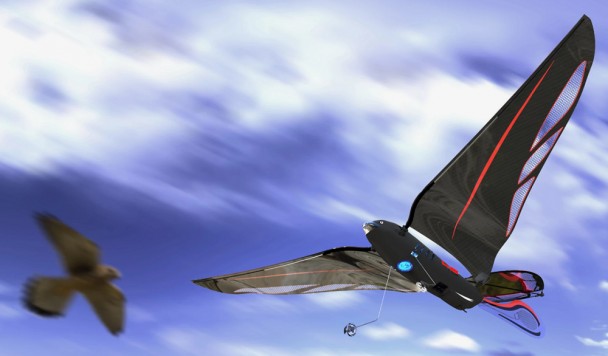 Представлен робот-стриж с машущими крыльями