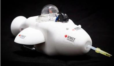 Робот-дельфин против нефтяных разливов: новая технология очистки океана