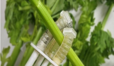 Биоразлагаемый мягкий робот работает миллион циклов, а потом исчезает в земле