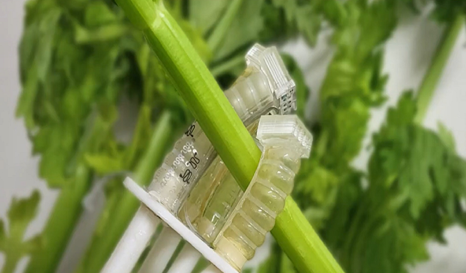 Биоразлагаемый мягкий робот работает миллион циклов, а потом исчезает в земле