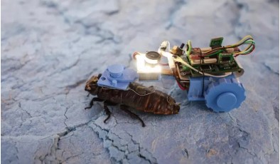 Кибер-тараканы инспектируют трубы Сингапура: насекомые-роботы заменят обычные машины