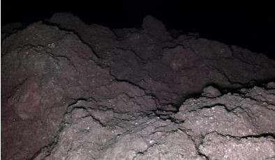 Жизнь пришла из космоса? В образцах с астероида обнаружены все нуклеотиды ДНК и РНК