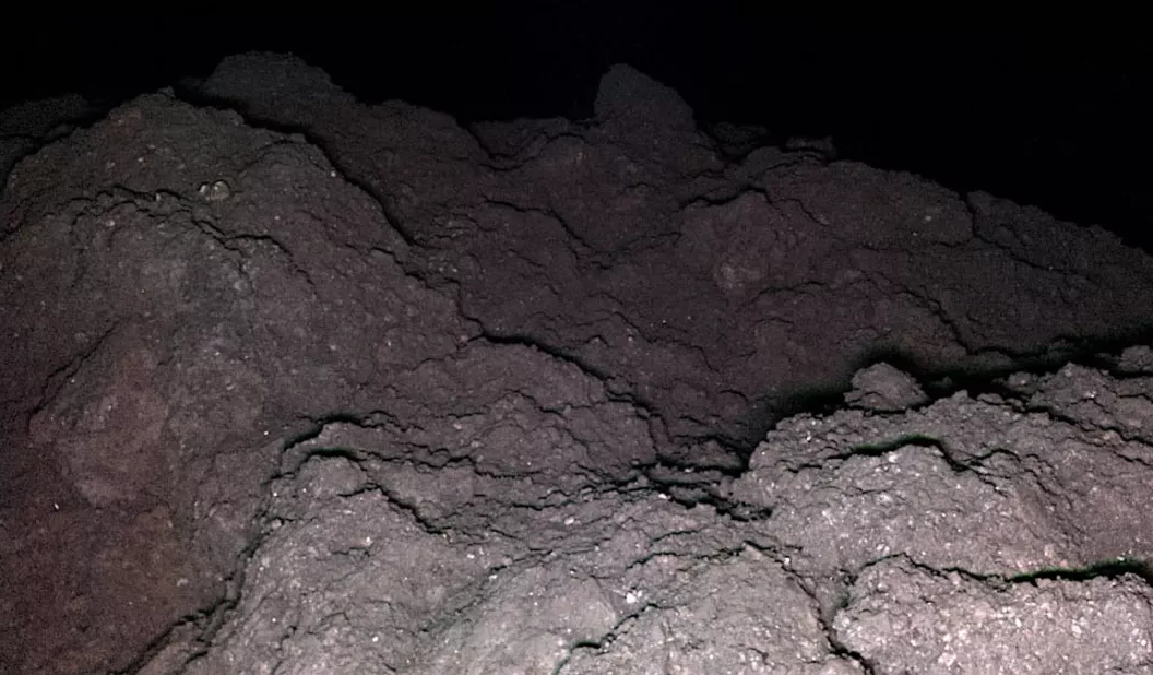 Жизнь пришла из космоса? В образцах с астероида обнаружены все нуклеотиды ДНК и РНК