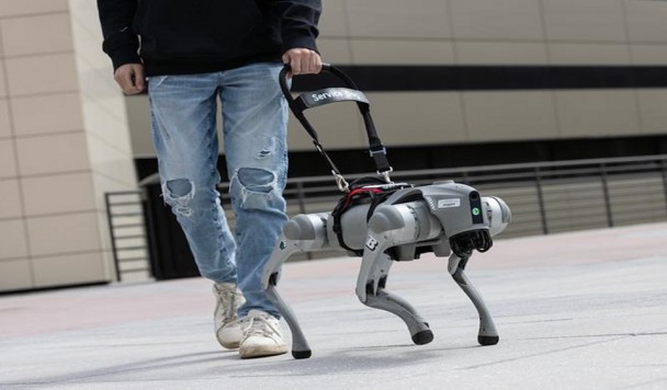 Робопёс-поводырь помогает незрячим ориентироваться при помощи голоса