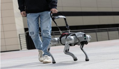 Робопёс-поводырь помогает незрячим ориентироваться при помощи голоса