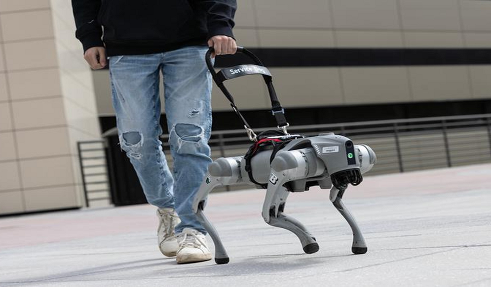 Робопёс-поводырь помогает незрячим ориентироваться при помощи голоса