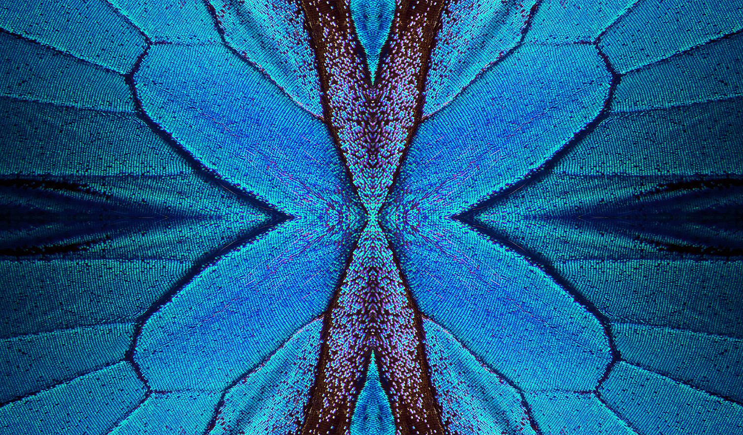 Структура в форме крыльев бабочки защищает от перегрузок крылья самолетов и здания