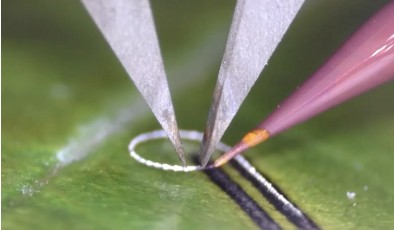 Микроволновая «лупа» для печати электроники позволяет печатать схемы на живых тканях