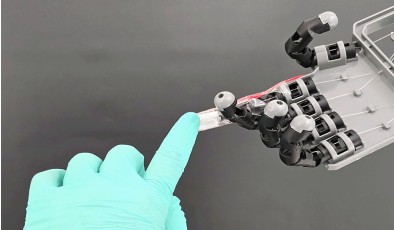 Растяжимая электронная кожа даст роботам осязание