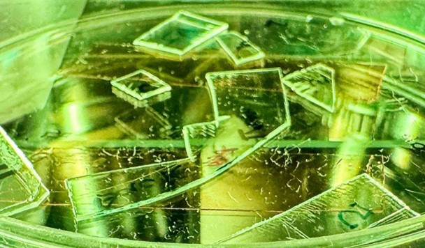 Наношипы, убивающие вирусы: австралийцы создали «самоочищающуюся» поверхность